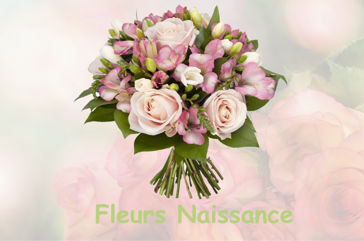 fleurs naissance CLOHARS-CARNOET