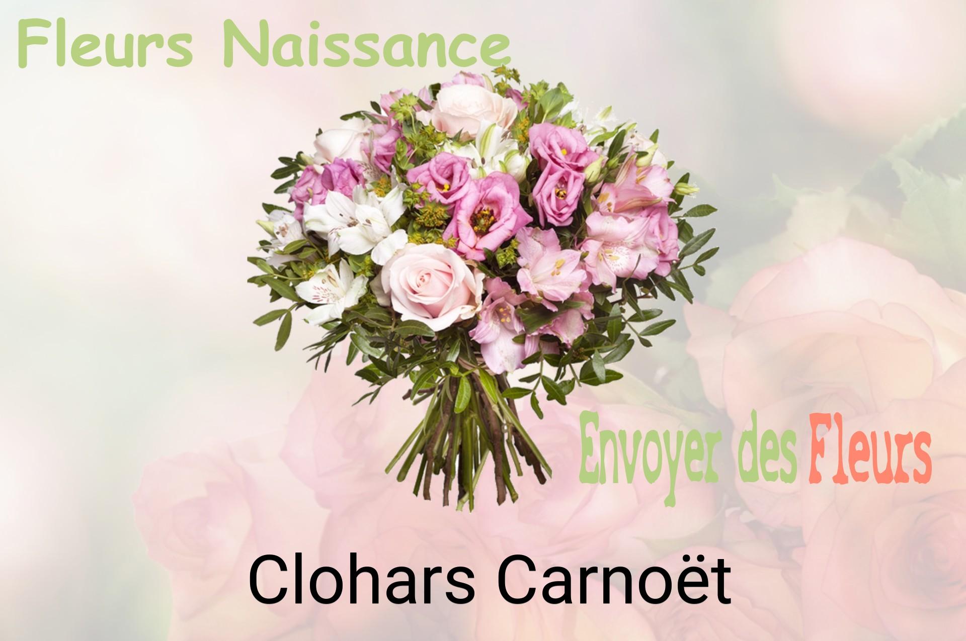 Bouquet de fleurs de naissance livré à Clohars-Carnoët